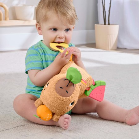 FISHER PRICE lavinamasis žaislas – Kapibara, HYR54 