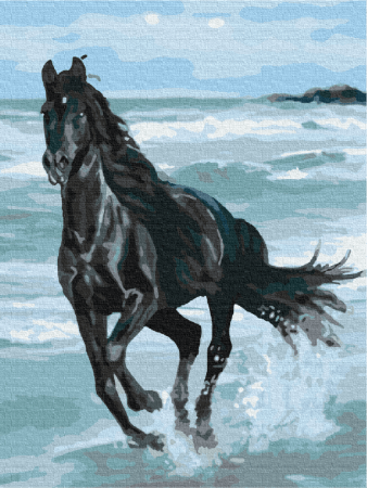 BRUSHME spalvinimo pagal skaičius rinkinys Black Horse, BS29330 BS29330