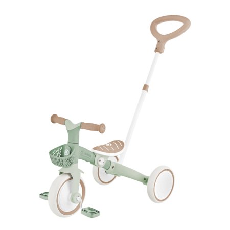 GLOBBER mokomasis triratukas Learning Trike, 3in1 Plus, pistacinis, 738-109 