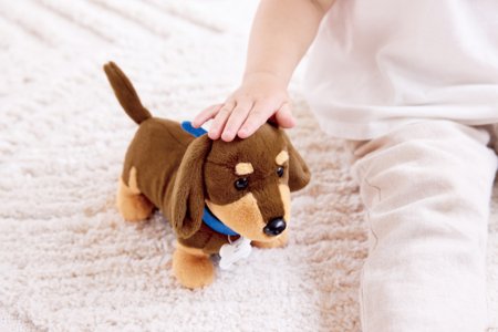 HAPE veterinaro rinkinys, E3229A 