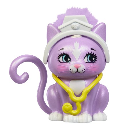 ENCHANTIMALS gydytojos rinkinys, HLH22 HLH22