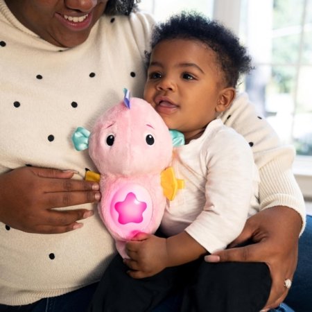 BABY EINSTEIN raminantis pliušinis žaislas Seahorse Soother, rožinis, 17400-013 
