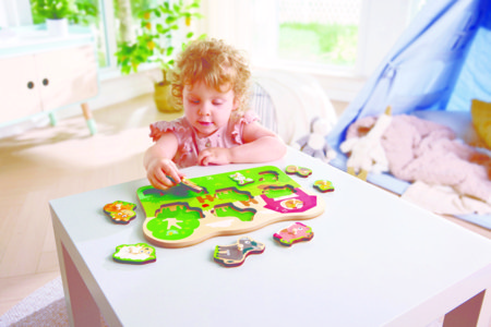 HAPE dėlionė Ūkio Teritorija, E1458K 