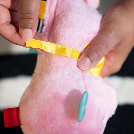 BABY EINSTEIN raminantis pliušinis žaislas Seahorse Soother, rožinis, 17400-013 