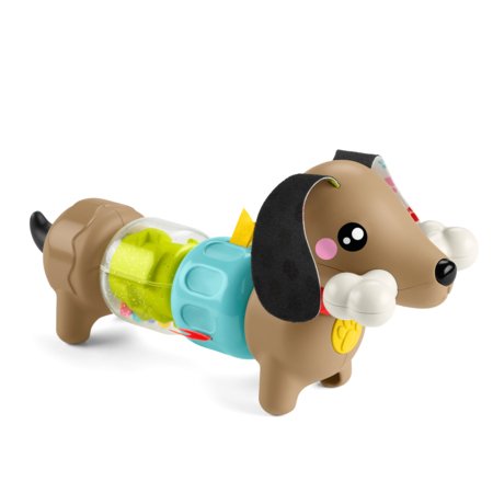 FISHER-PRICE veikos šunelis, HTW91 