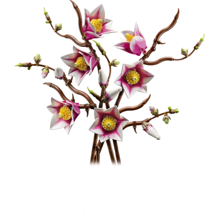 11510 LEGO® Botanicals Magnolijos šakelės 
