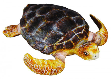 COLLECTA vėžlys (m) 88094 