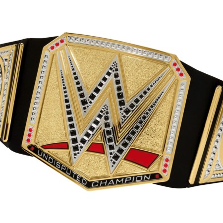 WWE Undisputed Universal čempiono diržas, HYJ35 