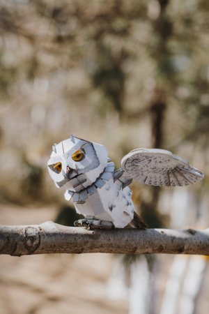 MAKEBUG 3D popierinė delionė Snowy Owl, MB-B-0009 