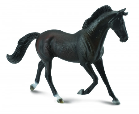 COLLECTA kumelė anglų grynakraujų veislės juoda collecta (XL) 88478 