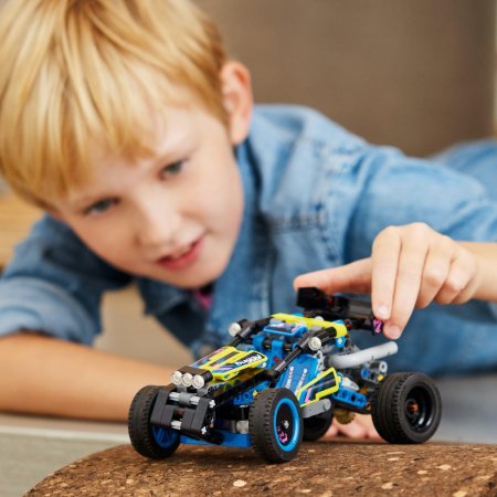 42164 LEGO® Technic Bekelės Lenktynių Bagis 