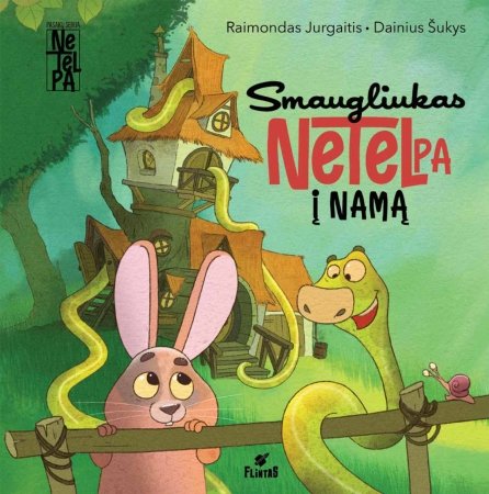 Smaugliukas netelpa į žaidimų aikštelę, 9786090601631 