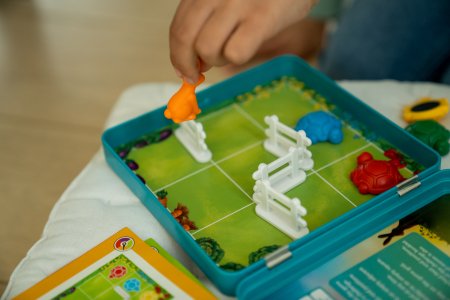 SMART GAMES stalo žaidimas Turtle Tactics, SMA#T2003 