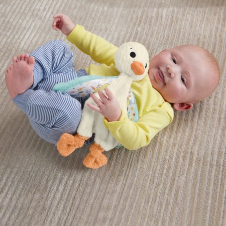 FISHER PRICE Žasiukas, HRB16 