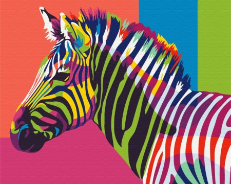 BRUSHME spalvinimo pagal skaičius rinkinys Rainbow zebra, BS26201 BS26201