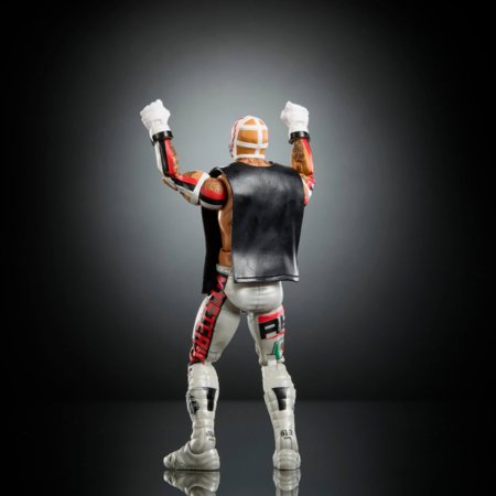 WWE Elite imtynininko figūrėlė, 15 cm, asort., GDF60 