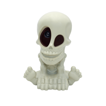 JOHNY THE SKULL interaktyvus žaidimas The Visions of Johny The Skull, 3125 
