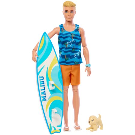 BARBIE kenas su banglente ir šuneliu, HPT50 