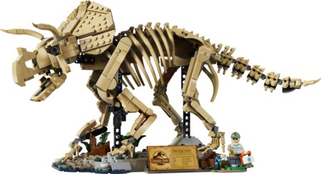 77985 LEGO® Jurassic World Dinozaurų fosilijos: triceratopsas 