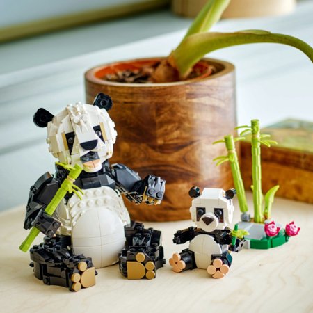 31165 LEGO® Creator Laukiniai gyvūnai: pandų šeima 