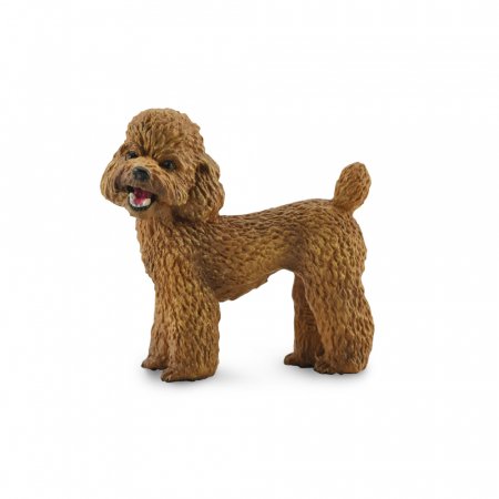 COLLECTA Pudelis, (M), 88880 88880