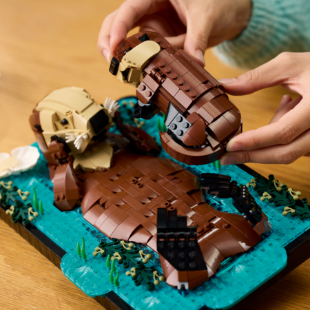 21366 LEGO® Ideas Plūduriuojančios jūrinės ūdros 