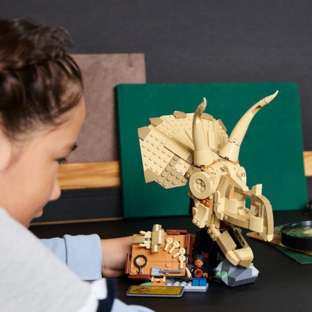 76969 LEGO® Jurassic World™ Dinozaurų fosilijos: triceratopso kaukolė 