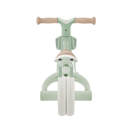 GLOBBER mokomasis triratukas Learning Trike, 3in1 Plus, pistacinis, 738-109 