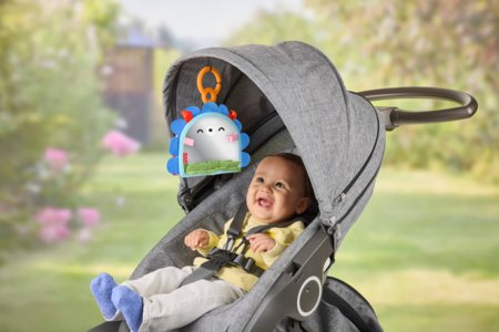 FISHER-PRICE veidrodėlis 2in1, JHB45 