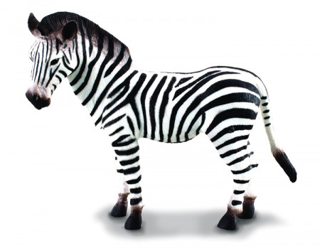 COLLECTA zebras paprastasis (l) 88830 