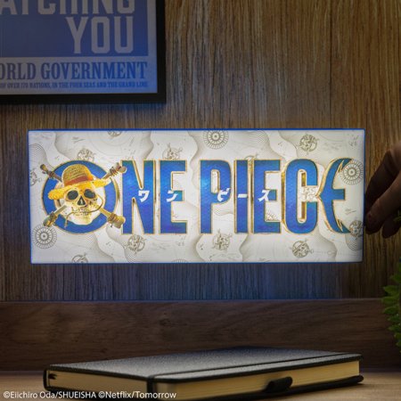 PALADOME ONE PIECE logotipo lempa, PP14521OPNF 