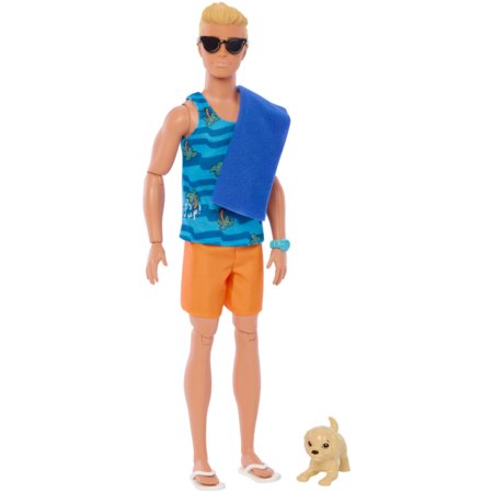 BARBIE kenas su banglente ir šuneliu, HPT50 