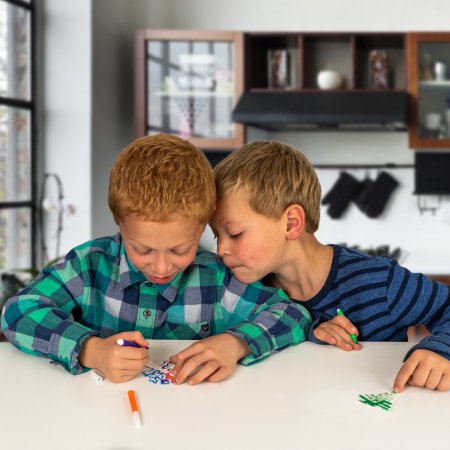 NATIONAL GEOGRAPHIC rinkinys Crystal Garden, RTCRYSGRDNINT RTCRYSGRDNINT