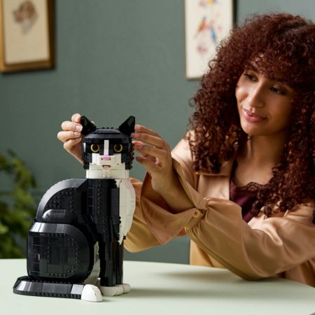 21349 LEGO® Ideas Juodai balta katė 
