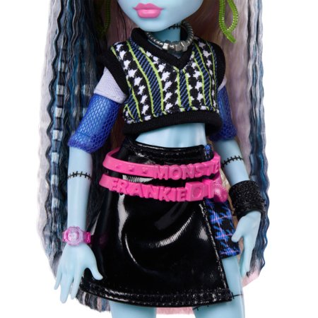 MONSTER HIGH lėlė Frankie, JHK31 