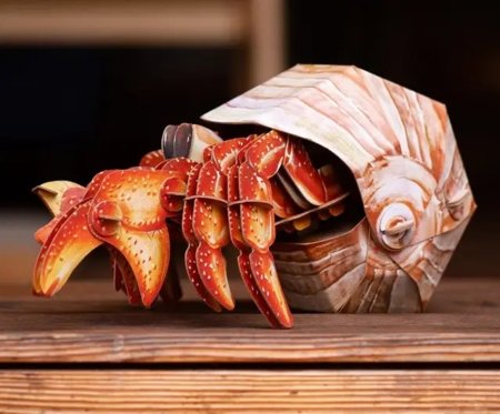 MAKEBUG 3D popierinė delionė Hermit Crab, MB-B-0008 