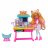 ENCHANTIMALS gydytojos rinkinys, HLH22 HLH22