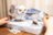MAKEBUG 3D popierinė delionė Snowy Owl, MB-B-0009 