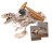 CLEMENTONI Science & Play eksperimentų rinkinys The History Of Life On Earth, 61396 