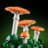 11505 LEGO® Botanicals Miško grybai 