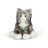 ANIMIGOS pliušinis žaislas Pilka katė, 26cm, 38604 