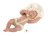 LLORENS lėlė MINI BABY BOY LION, 63203 