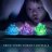NATIONAL GEOGRAPHIC rinkinys Crystal Growing Lab, NGLITCRYSTALINT NGLITCRYSTALINT