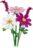 11514 LEGO® Botanicals Kosmėjos 