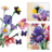 11507 LEGO® Botanicals ir LEGO® Editions Olivijos Rodrigo gėlių puokštė 