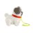 FISHER-PRICE šuniukas Mopsas, HTW94 