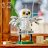 76425 LEGO® Harry Potter™ Hedviga ketvirtame Ligustrų gatvės name 