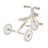 GLOBBER mokomasis triratukas Learning Trike, 2in1 Plus, kokosinis, 737-466 