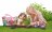 SIMBA CHI CHI LOVE Happy Gardening šuo su krepšiu ir aksesuarais, 105890023 105890023