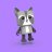 MOB DESIGN garsiakalbis Dancing Animal Raccoon, DA-22-02 DA-22-02